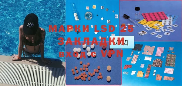 стафф Аркадак