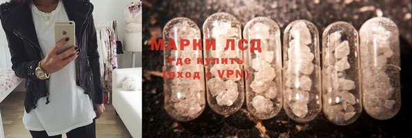 мяу мяу мука Арсеньев