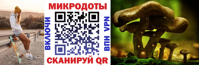 Псилоцибиновые грибы Magic Shrooms  Майкоп 